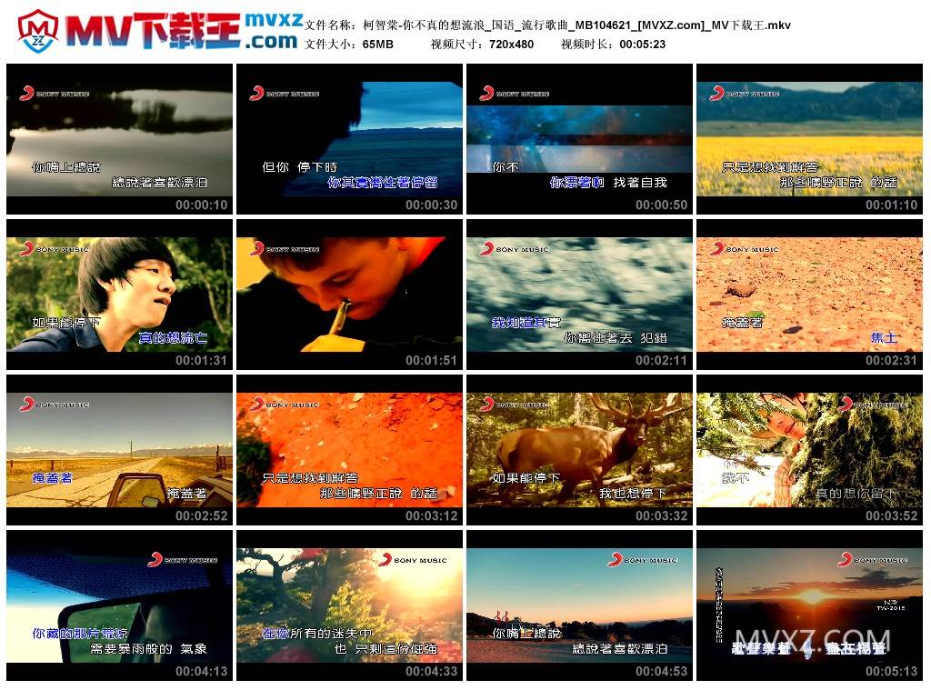 柯智棠-你不真的想流浪_国语_流行歌曲_MB104621